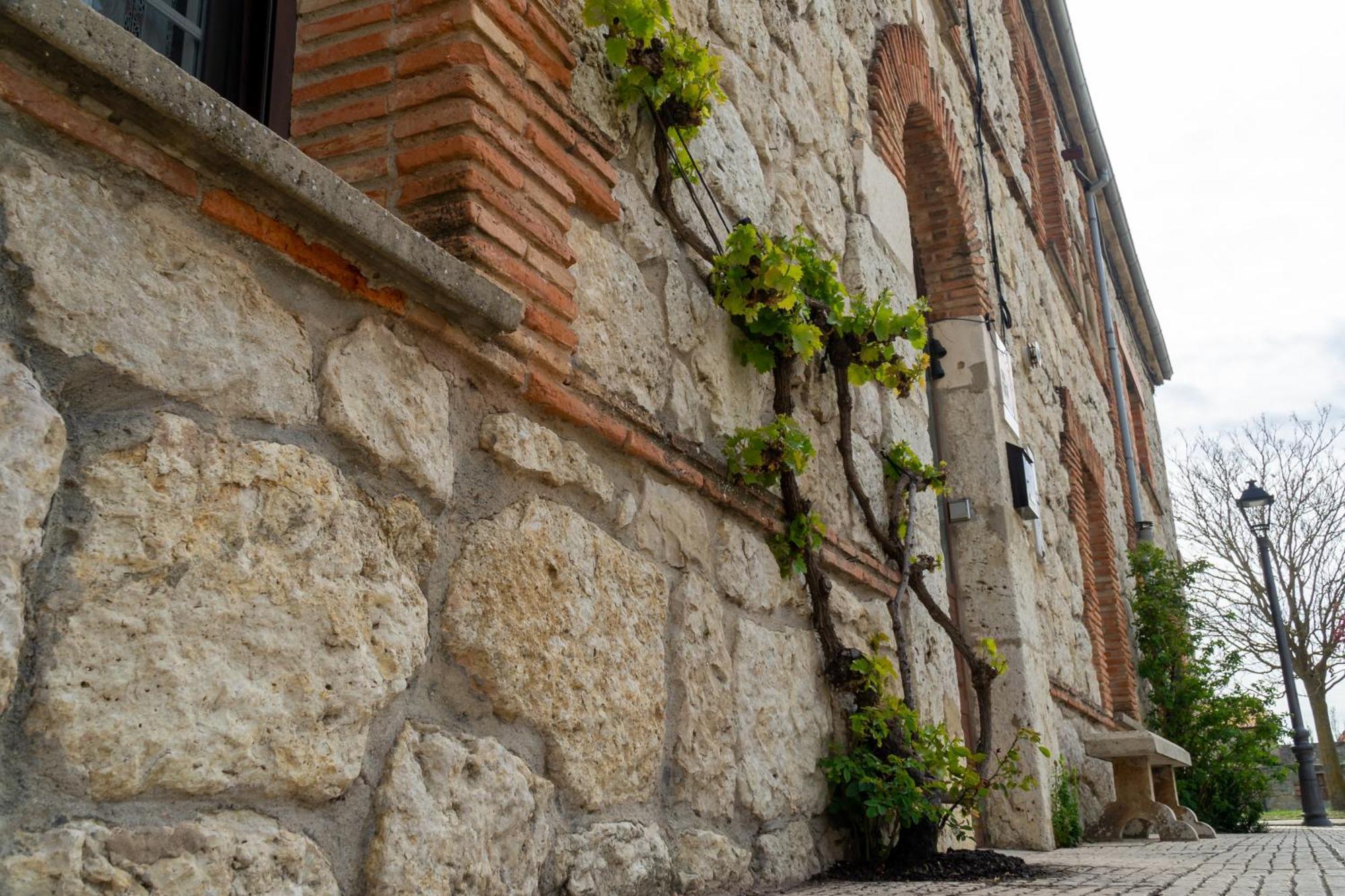 Dona Elvira Y Dona Sol Villa Vivar del Cid Kültér fotó